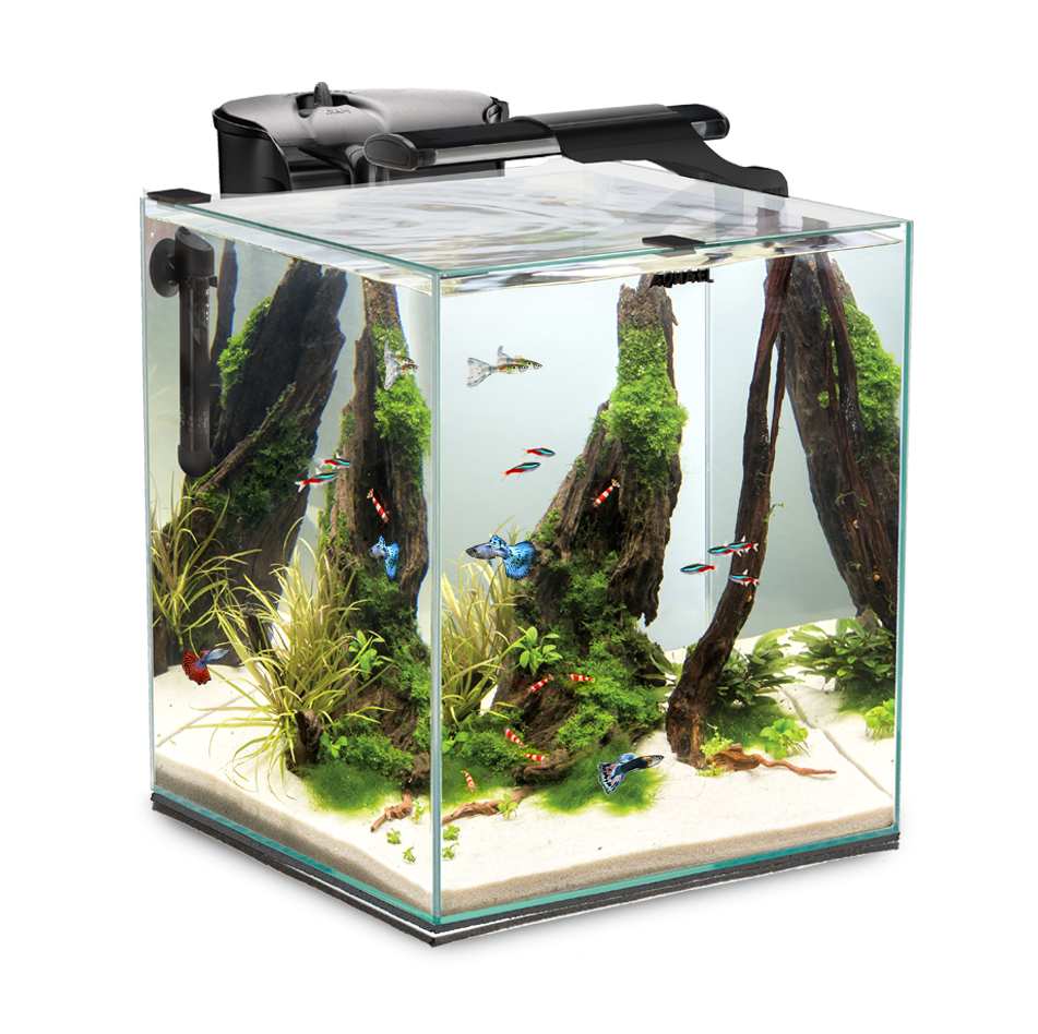 Aquatel Aquarium Starter Kit